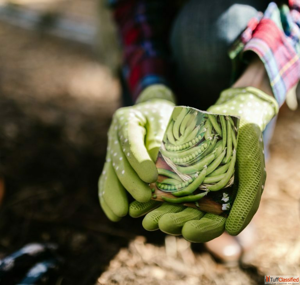 Free Classifieds Ads In India Buy/Sell/Rent Tuffclassified