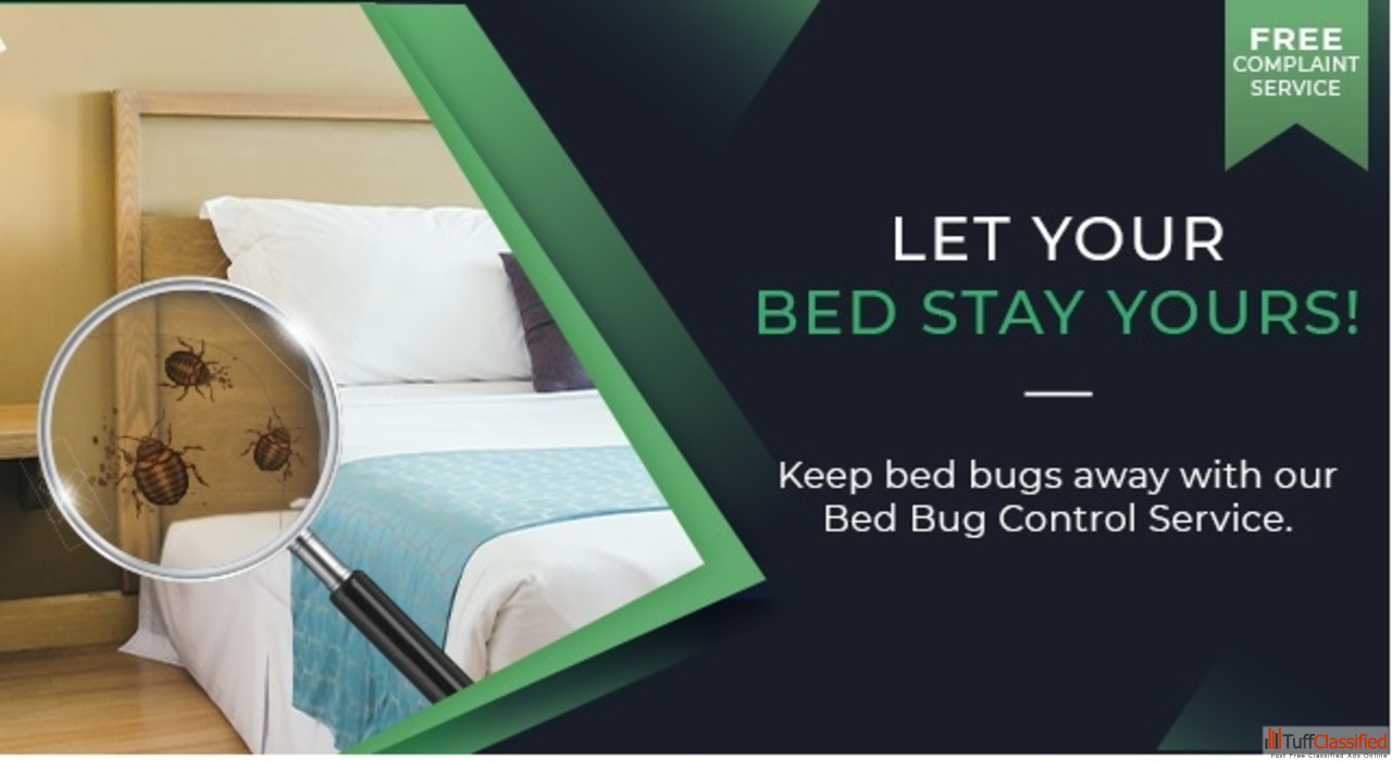 Free Classifieds Ads In India Buy/Sell/Rent Tuffclassified