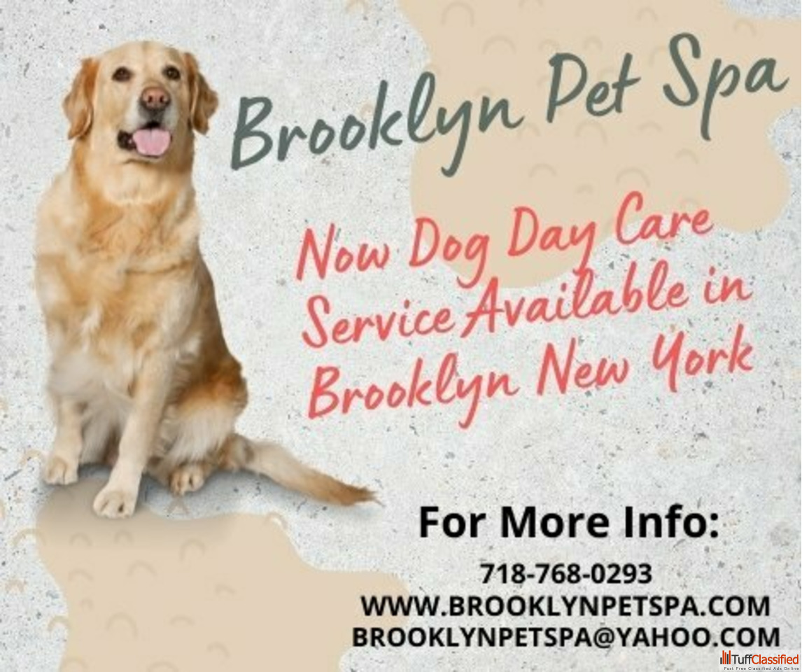 Free Classifieds Ads In India Buy/Sell/Rent Tuffclassified