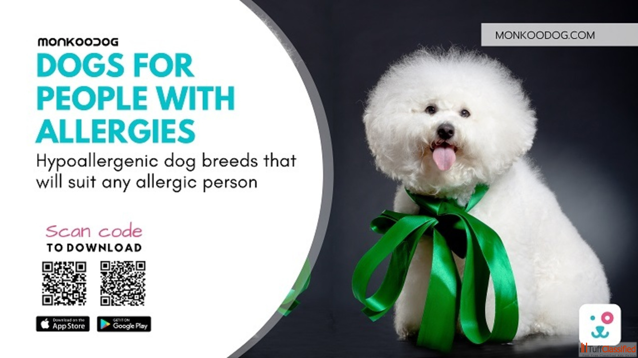 Free Classifieds Ads In India Buy/Sell/Rent Tuffclassified