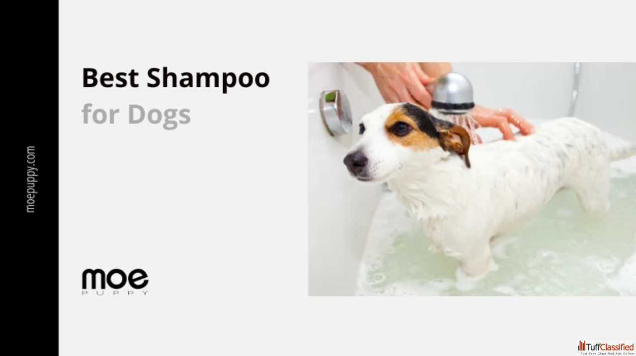 Free Classifieds Ads In India Buy/Sell/Rent Tuffclassified