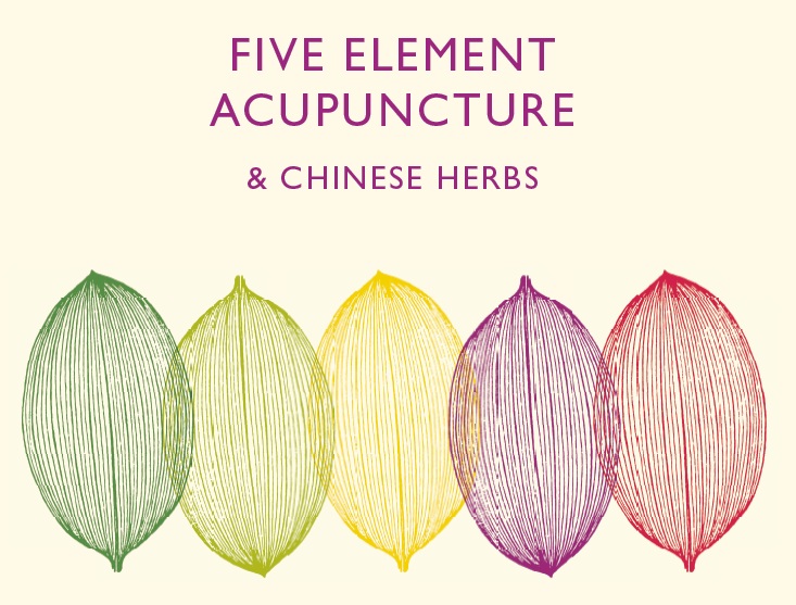 Five Element Acupuncture