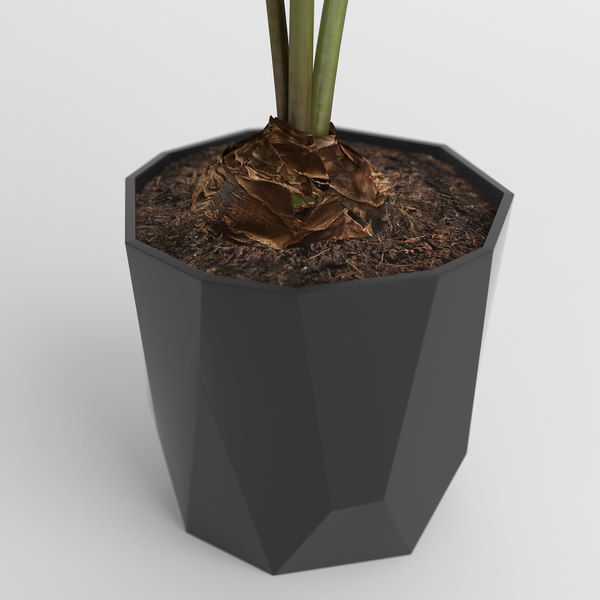 Flower Amaryllis Elho Blumentopf 3DModell TurboSquid 1265094