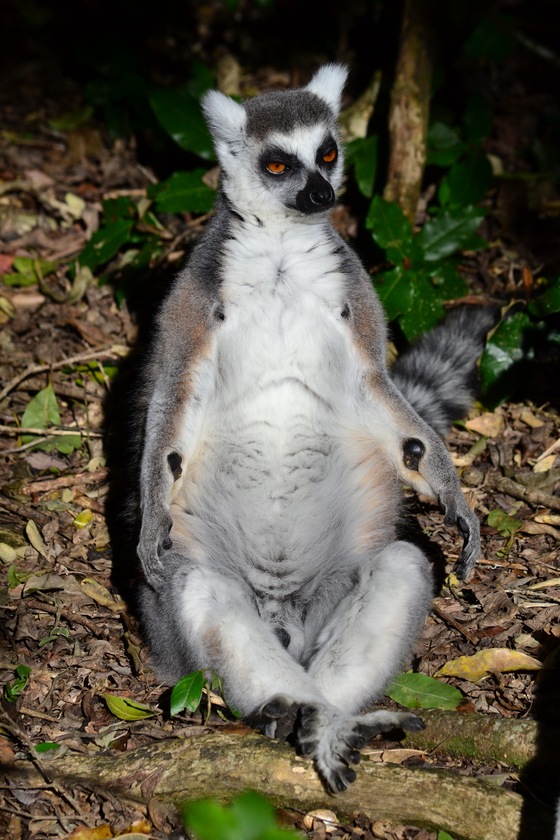 Ommmmmmm Viaggi, vacanze e turismo Turisti per Caso