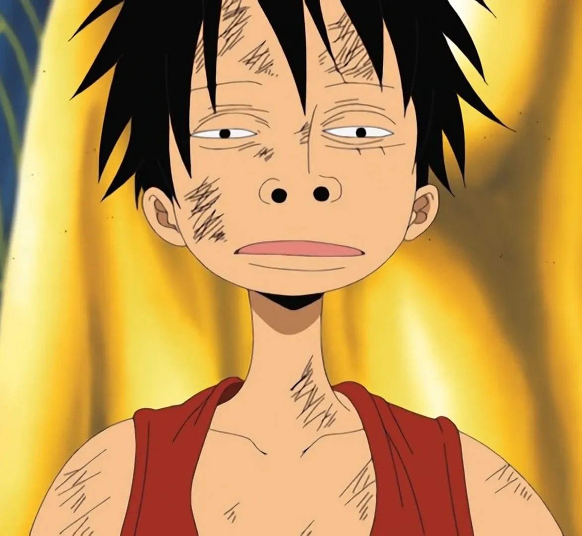 One Piece / Memes TV Tropes