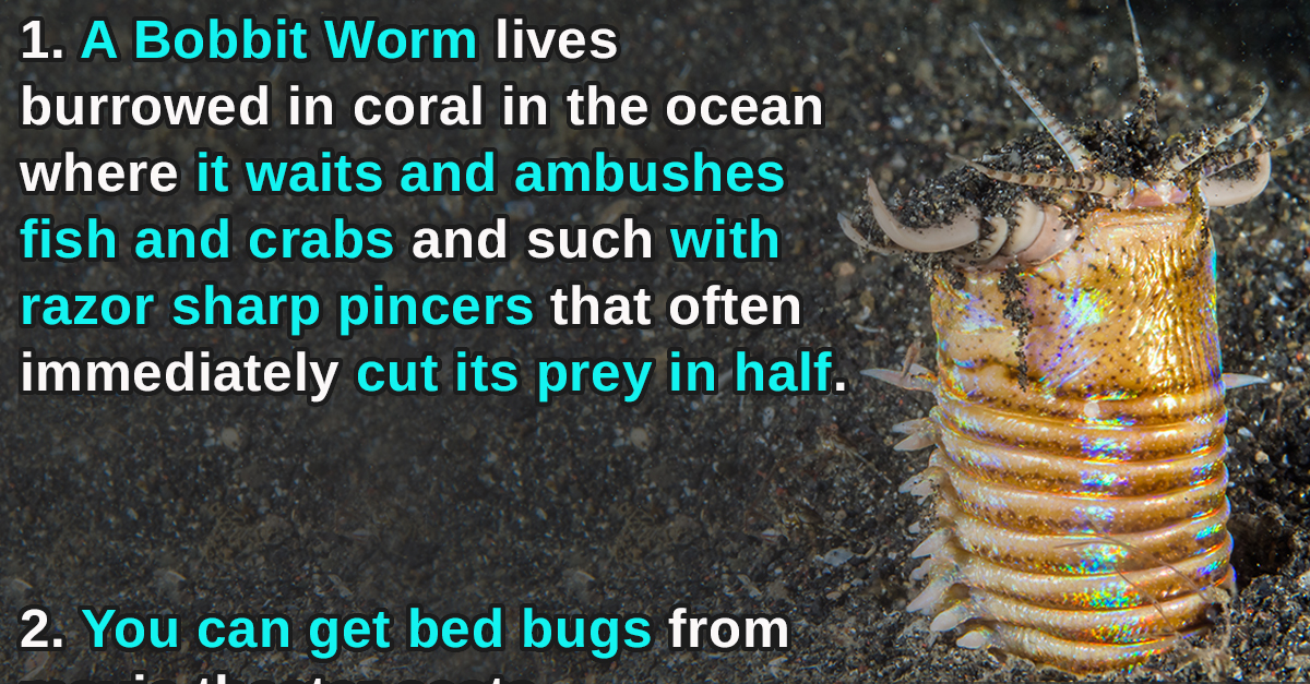 10 Incredibly Disturbing Facts to Bring Up When You Want to Seem Smart