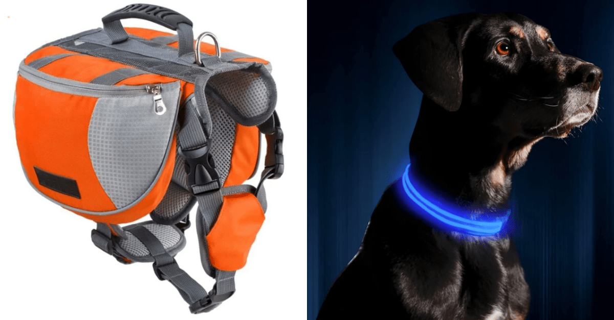 The Essentials for Hiking and Backpacking With Your Dog in 2020 22W