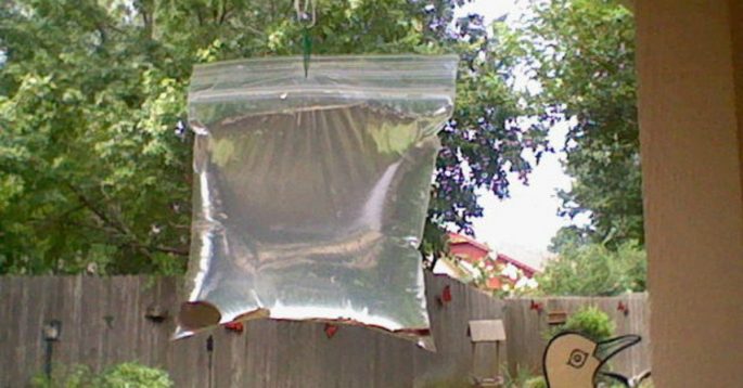 This Is Why Some People Leave Bags Full of Water Above Their Doors 22