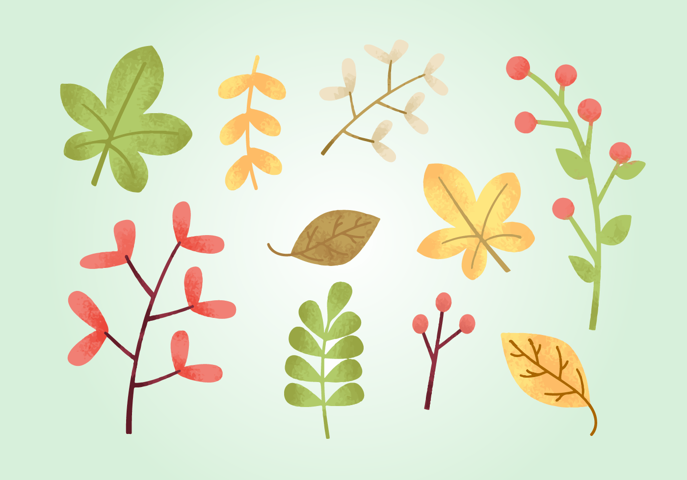 Free Grainy Natural Elements 152545 Vector Art at Vecteezy
