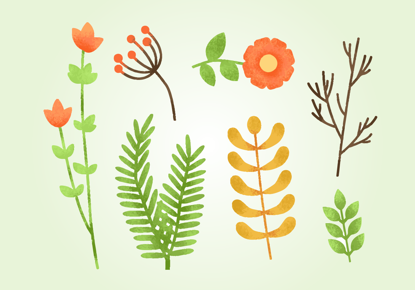 Free Grainy Natural Elements 152549 Vector Art at Vecteezy