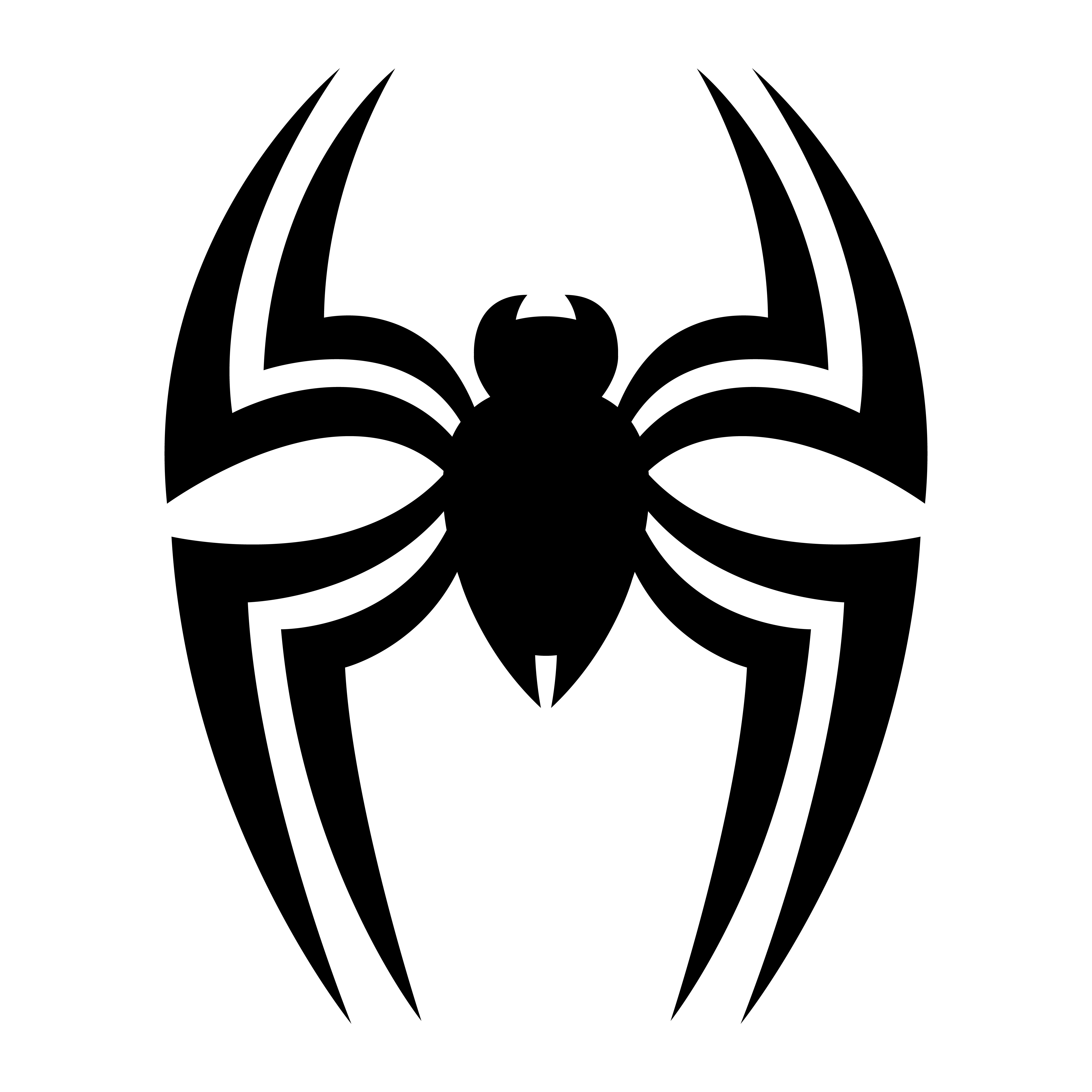 Spider insect bug 546437 Download Free Vectors, Clipart Graphics