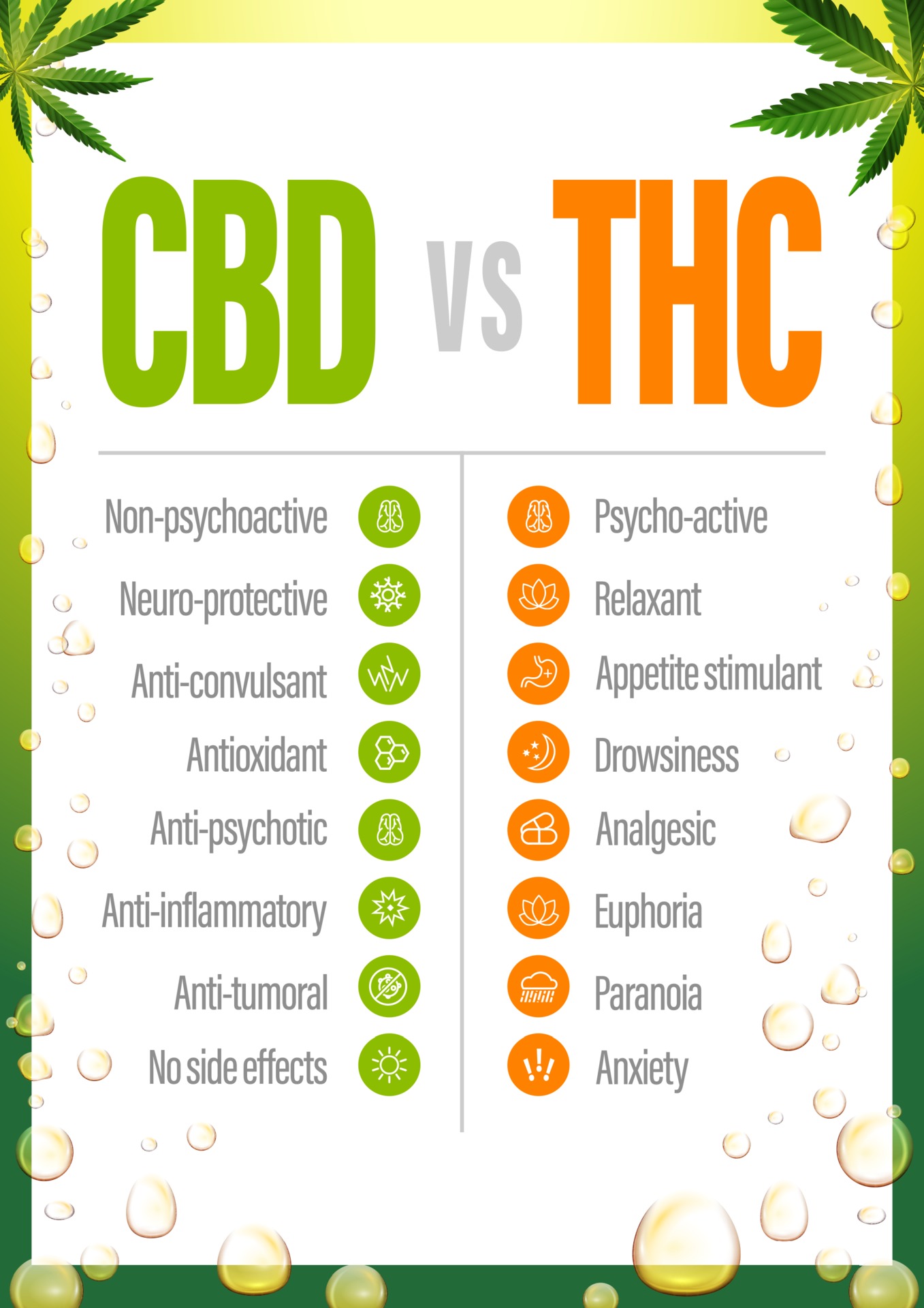 CBD vs THC, poster with comparison CBD and THC, list of differences