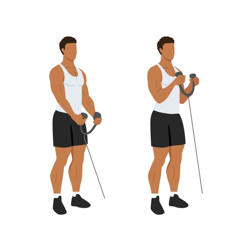 Man doing Rope bicep hammer curl. Flat vector illustration isolated on