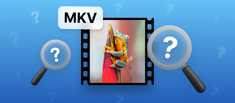 What is an MKV File and How to Open and Edit It - Video Candy Blog