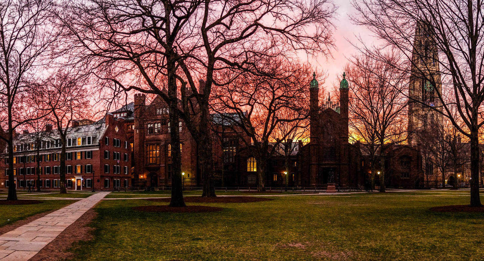 Yale University is located in which city?
