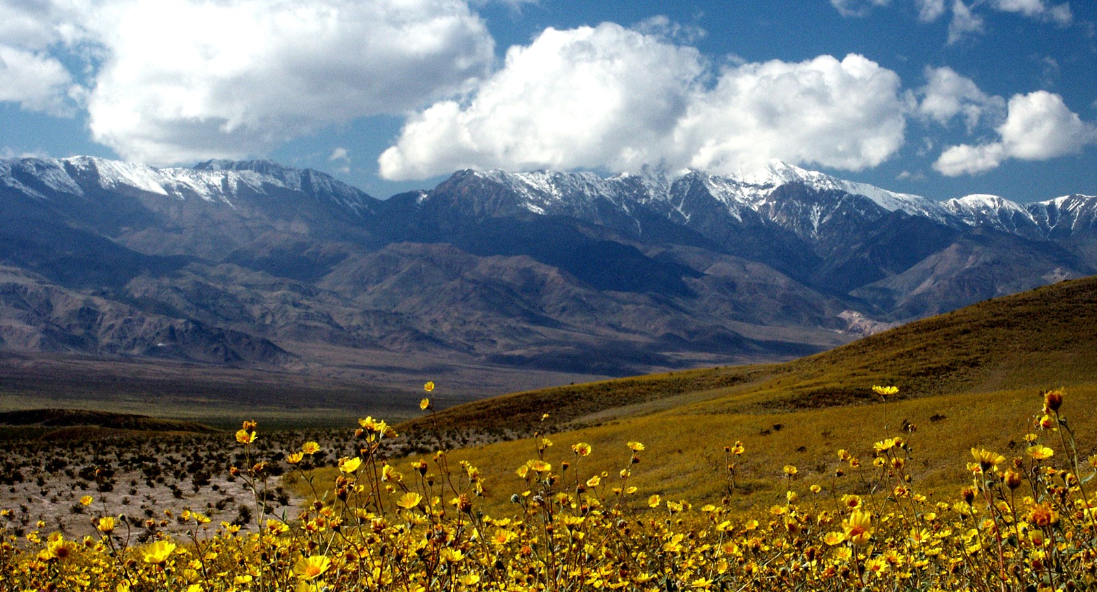 Where is the point of lowest elevation in the United States?