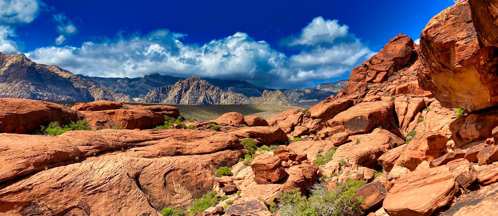 What is the official nickname of the U.S. state of Nevada?