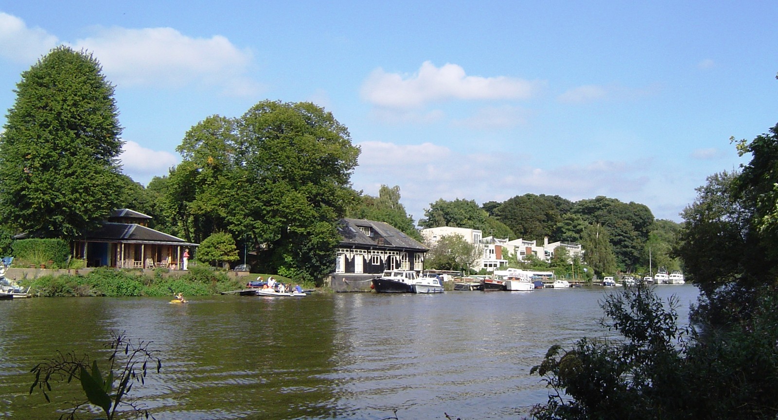 Eel Pie Island is located in which river?
