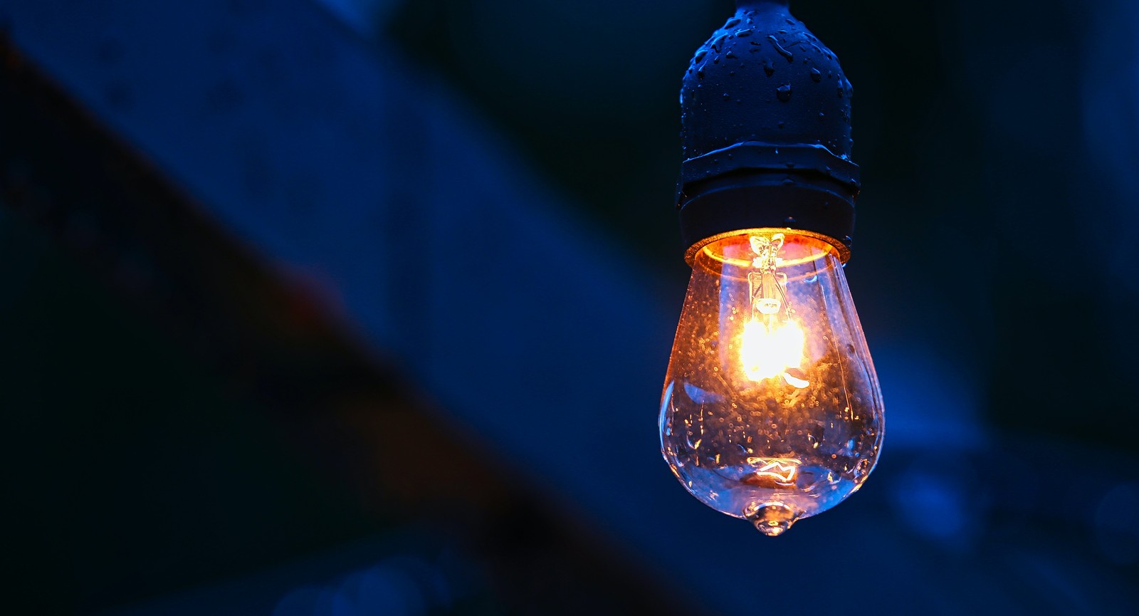 In which U.S. state is the world's longestburning light bulb?