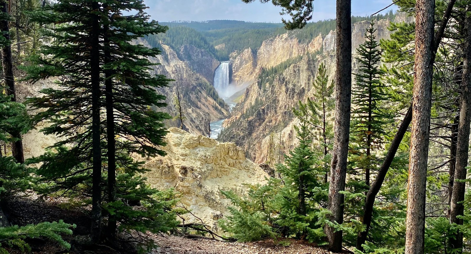 What kind of natural phenomenon is Yellowstone Park's Old Faithful?