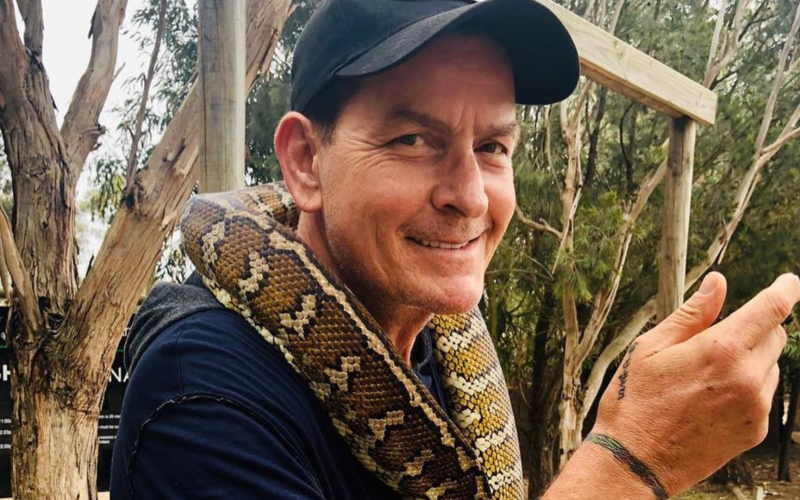 Charlie Sheen calls his return to TV 'surreal'