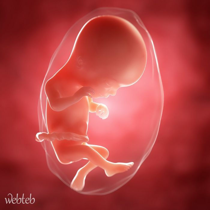 هل تعلم حركات الجنين فى الاسبوع 16 من الشهر الرابع