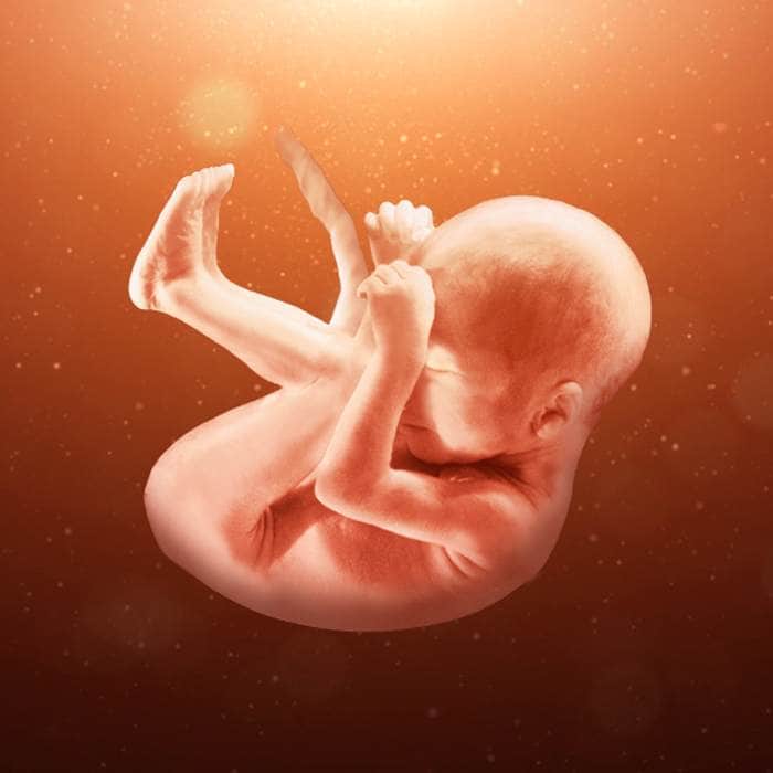 الاسبوع 33 من الحمل اي شهر