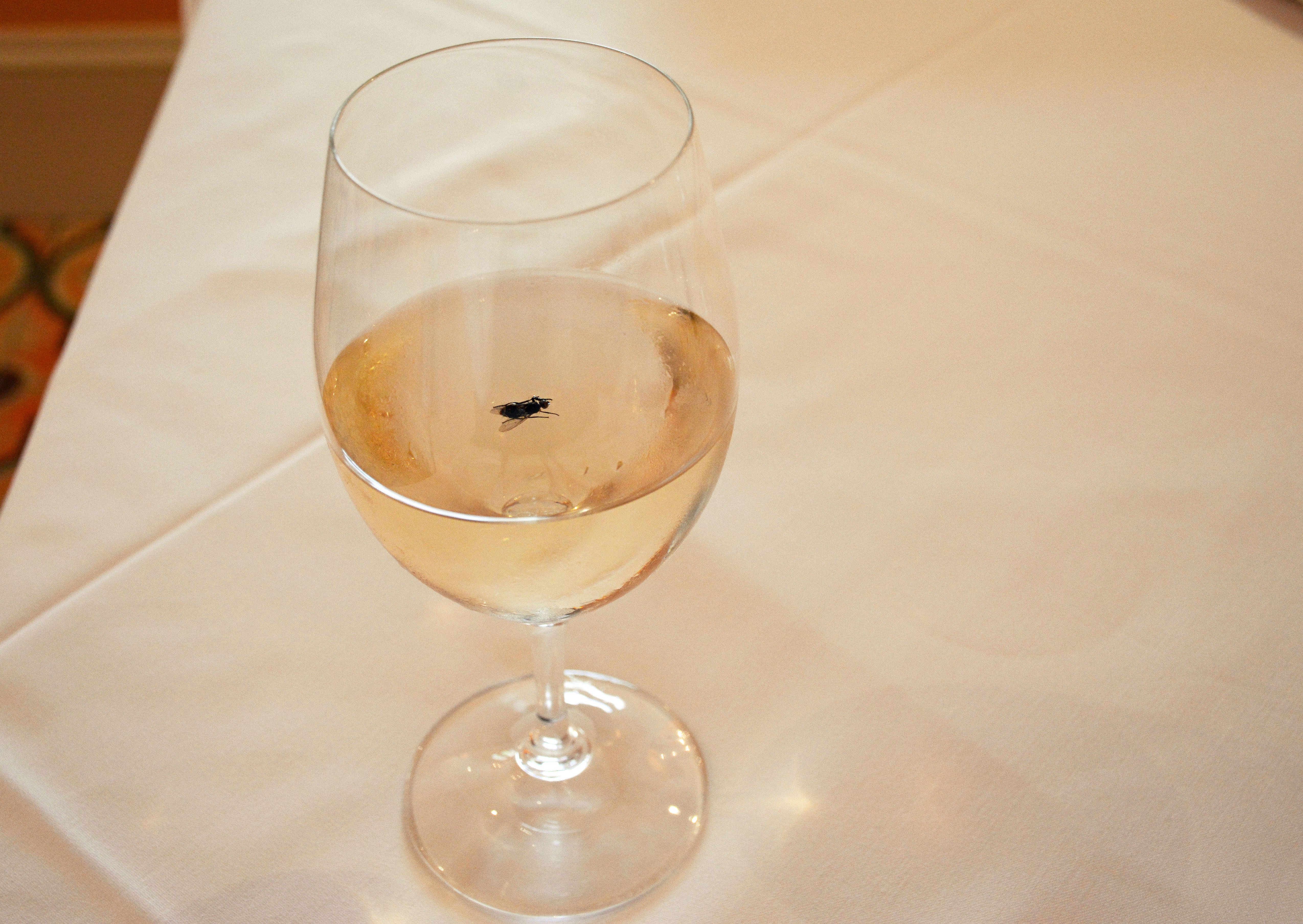 A Black Fly in My Chardonnay Where Y'at