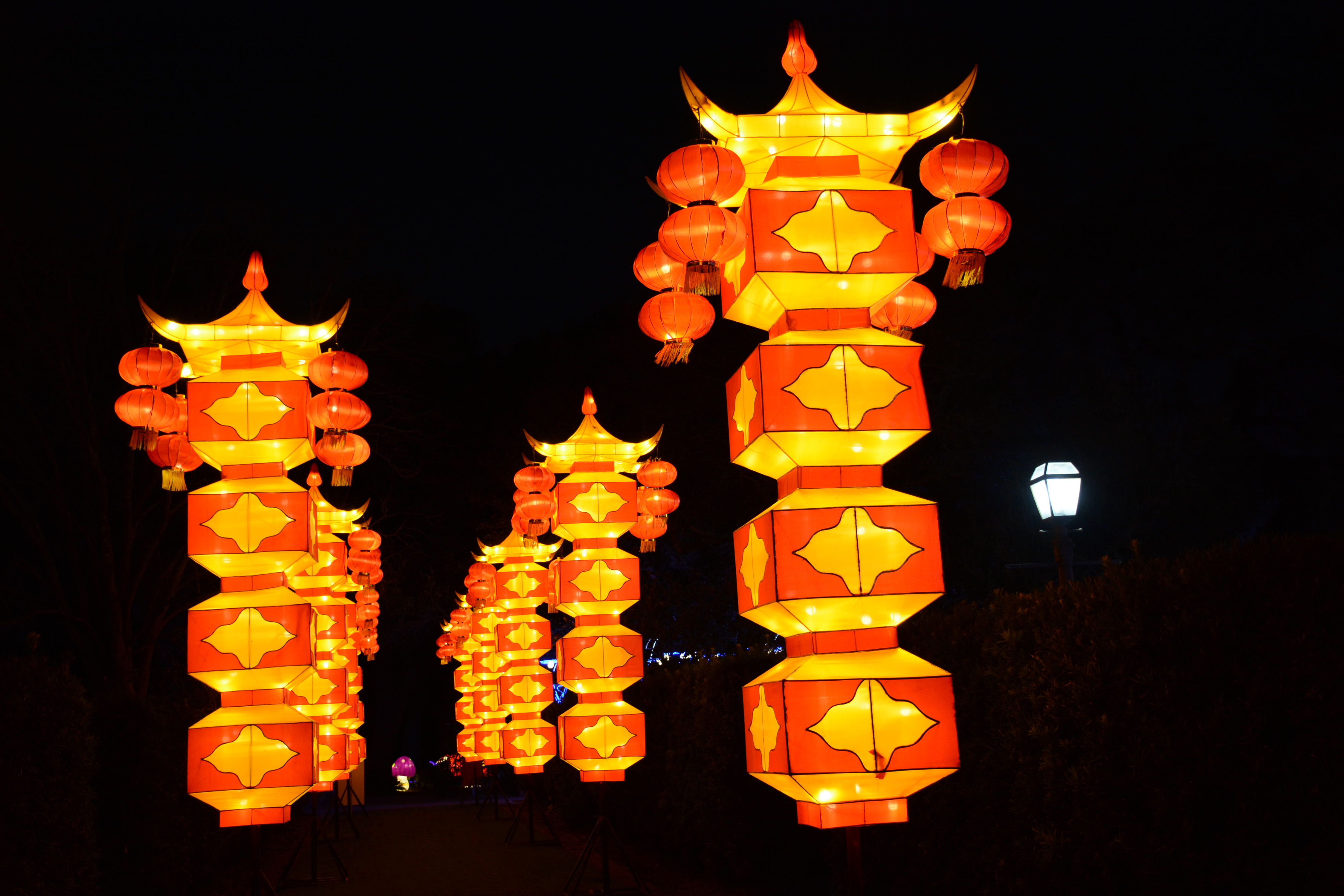 China Lights Arrives in City Park Where Y'at