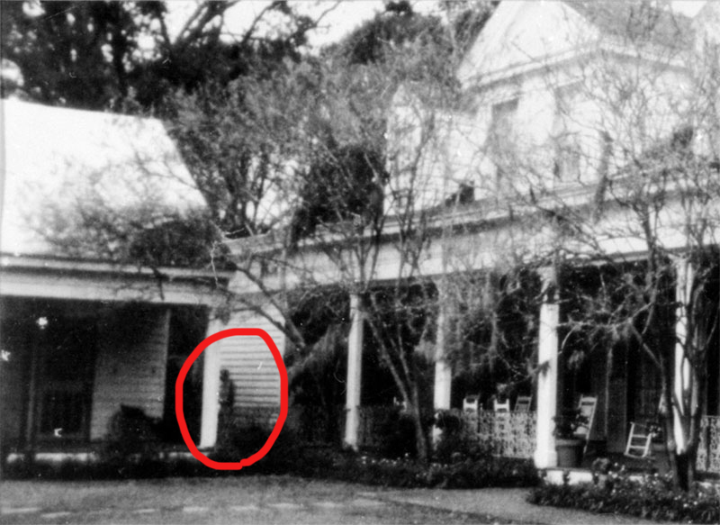 The World's Most Haunted House The Myrtles Plantation Where Y'at New