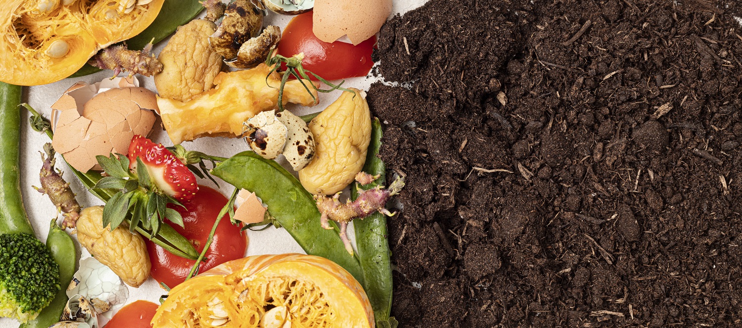 Compost 101 How and Why to Start Composting WhirLocal