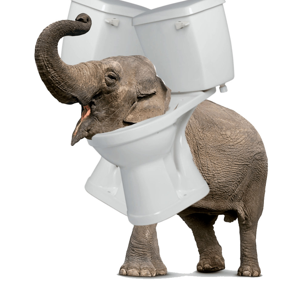 Elephant toilet Fandom