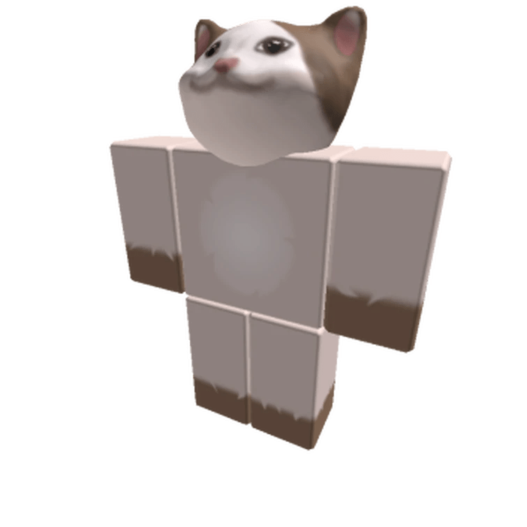 Pop cat roblox