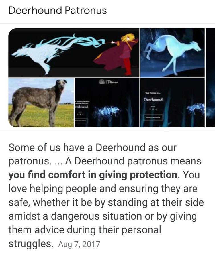 What Does It Mean To Have A Basset Hound Patronus