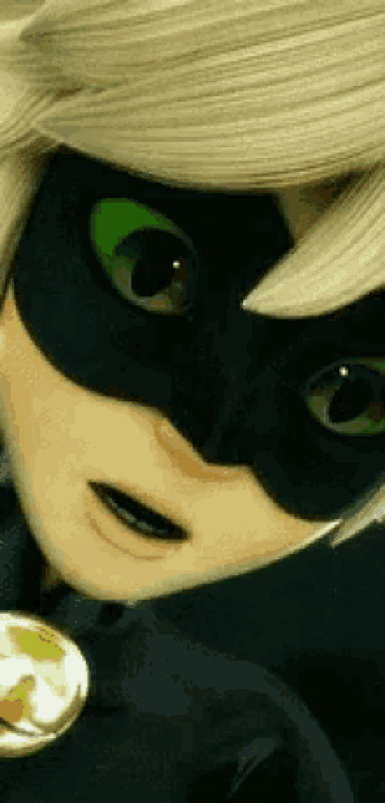 Cat noir Fandom