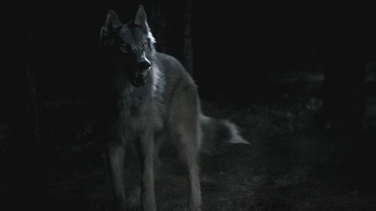 Does Mason Lockwood's Wolf form look like it's from The Originals? Fandom