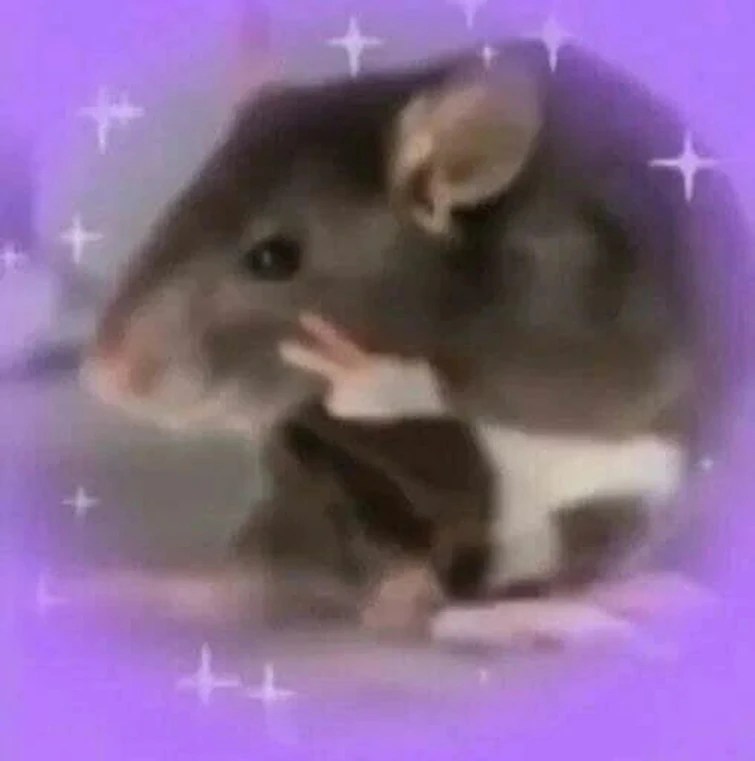 rat】🥹 (New pfp) Fandom