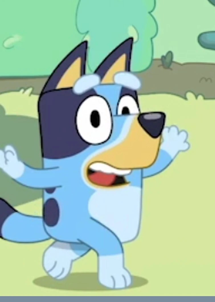 MY ENTIRE COLLECTION Fandom