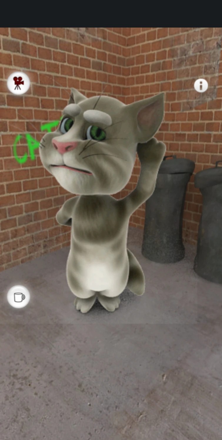 This is how an (very) old version of Talking Tom Cat looks like on
