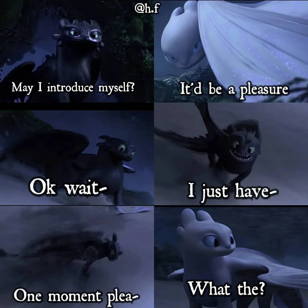 How To Train Your Dragon Memes Light Fury And Toothless