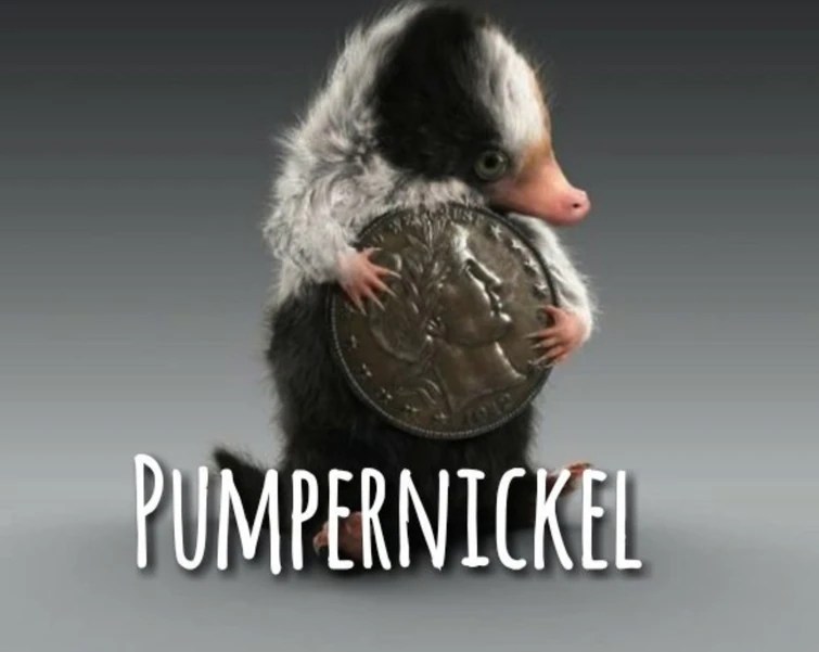 Baby Niffler names! Fandom