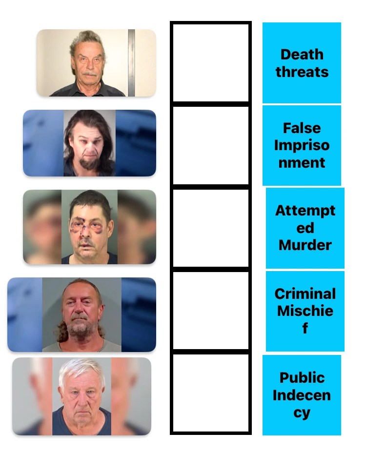 match the mugshot to the crime Fandom(02)