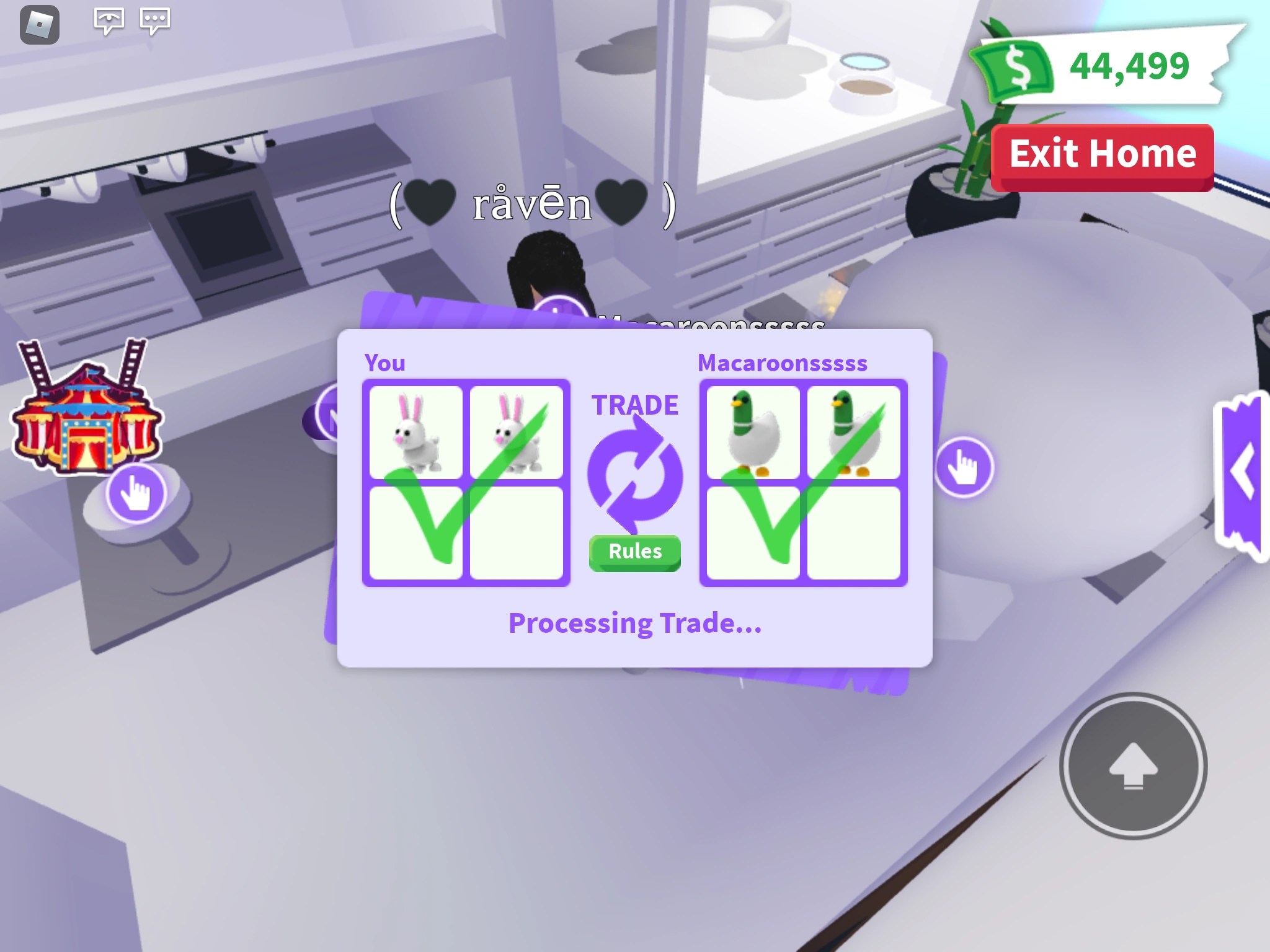 Discuss Everything About Adopt Me! Wiki Fandom