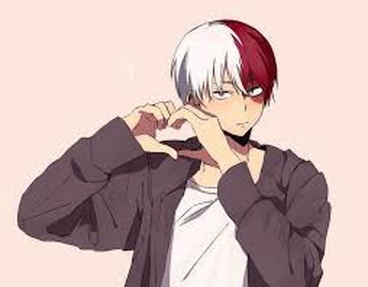 And Todoroki Fandom