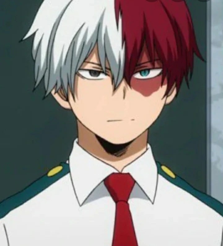 Discuss Everything About Boku no Hero Academia Wiki Fandom