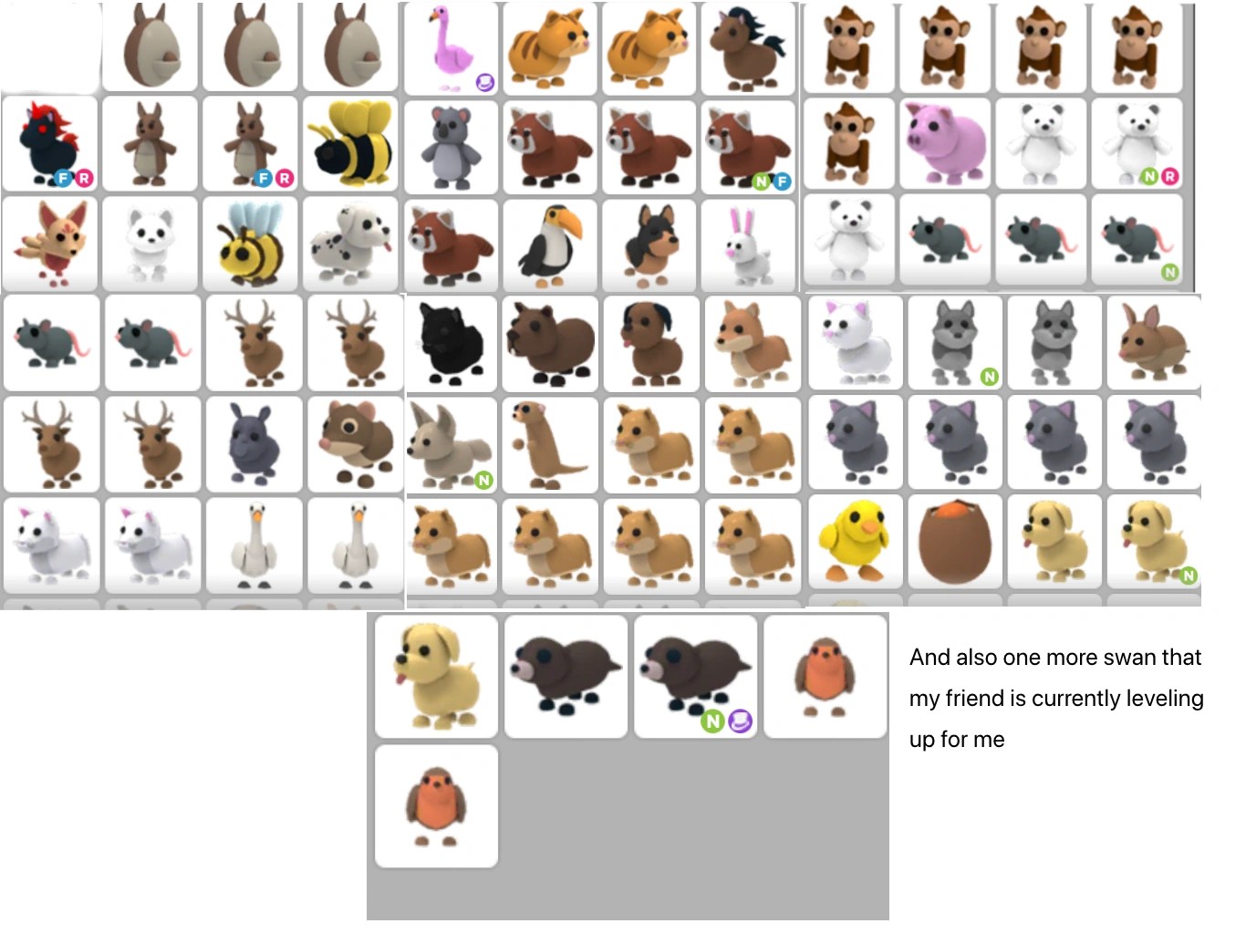 Discuss Everything About Adopt Me! Wiki Fandom