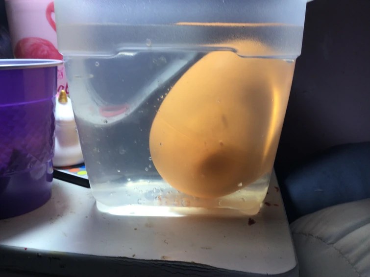 How to drown a skywing egg tutorial /j 😉💅💅💅💅💅💅 Fandom