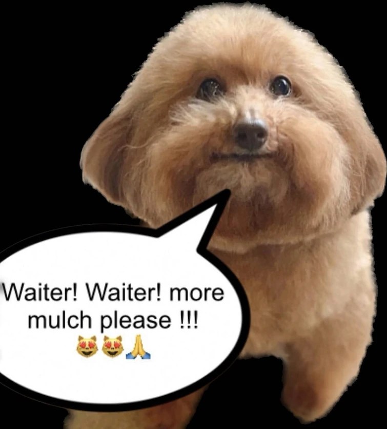 mulch! the mulchfest! Fandom