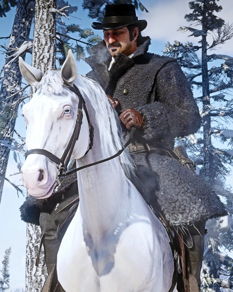 What horse breed is the count? (Dutchs horse) Fandom