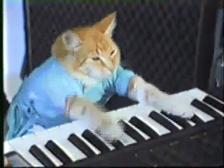 I'm making a keyboard cat meme but with a crk character Fandom